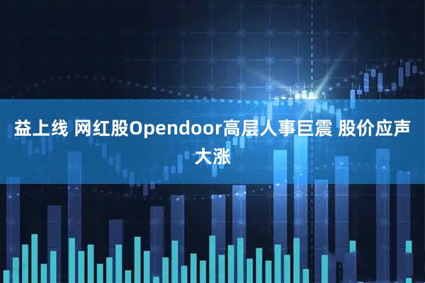 益上线 网红股Opendoor高层人事巨震 股价应声大涨
