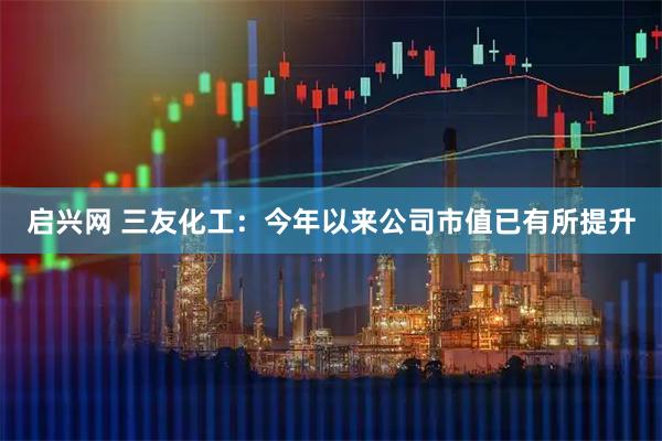 启兴网 三友化工：今年以来公司市值已有所提升